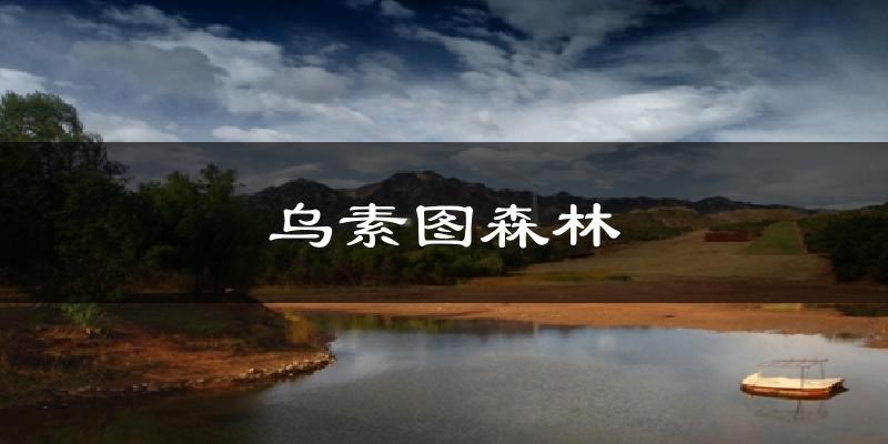 乌素图森林气温