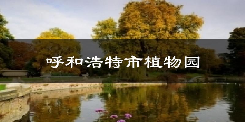 呼和浩特市植物园气温