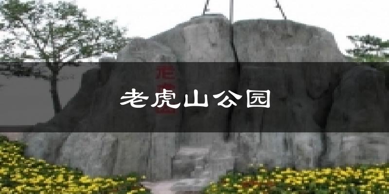 老虎山公园今日天气