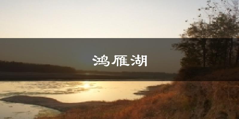 鸿雁湖今日天气