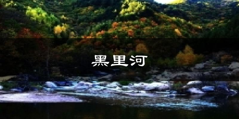 黑里河今日天气